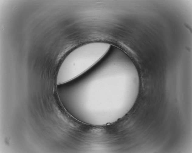 X0000103300067200808291140