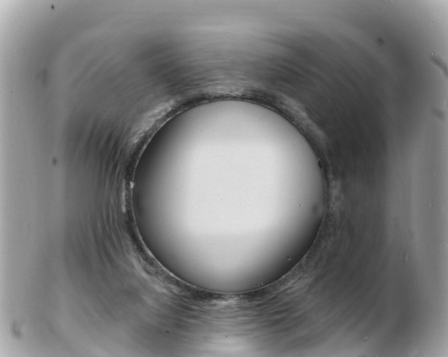 X0000103300068200808291140