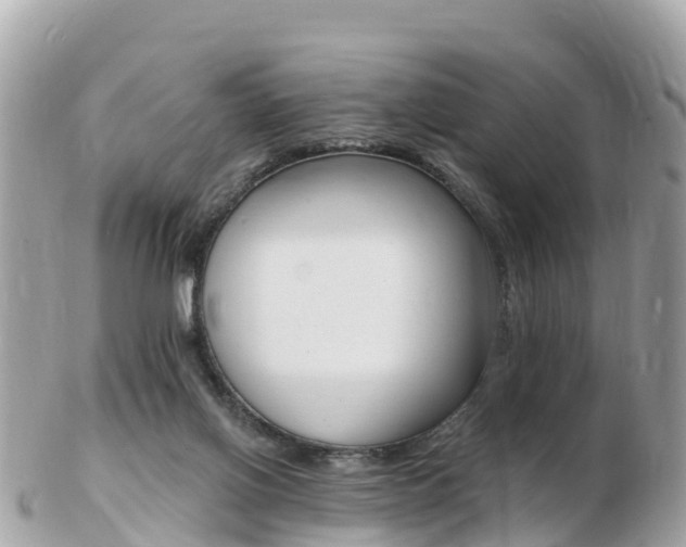 X0000103300070200808291140