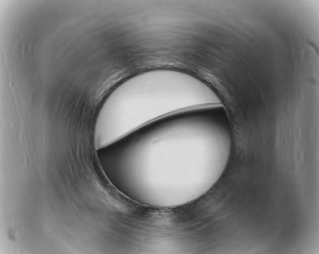 X0000103300071200808291140