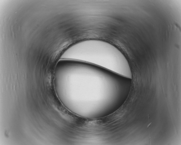 X0000103300072200808291140