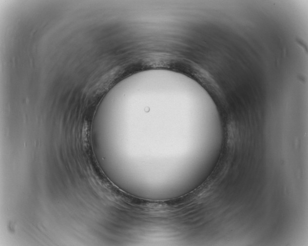 X0000103300073200808291140