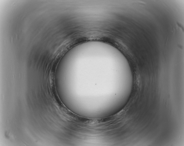 X0000103300074200808291140