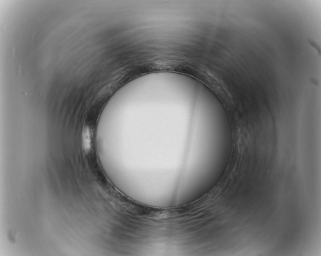 X0000103300075200808291140