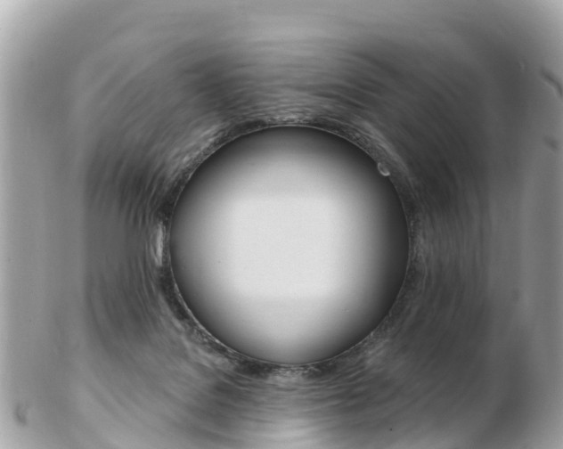 X0000103300076200808291140