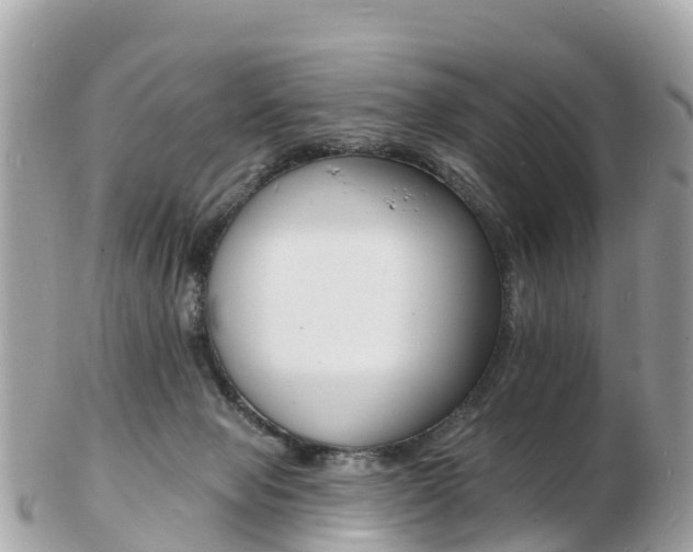 X0000103300077200808291140
