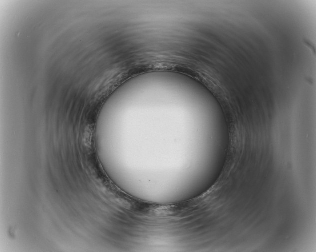 X0000103300078200808291140