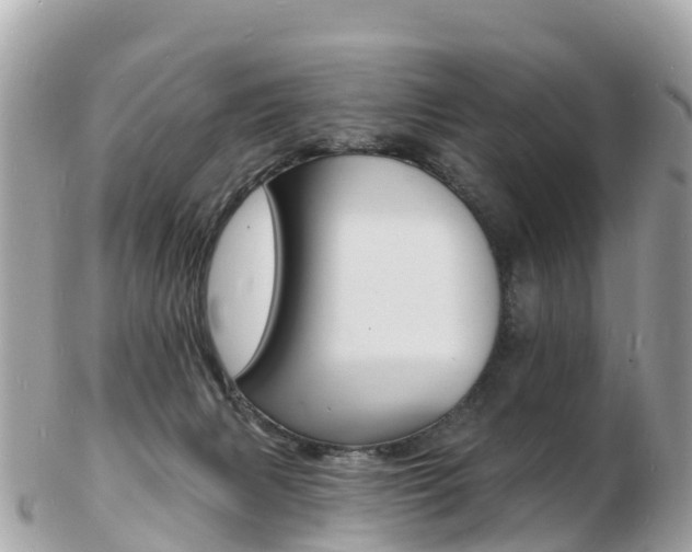 X0000103300079200808291140