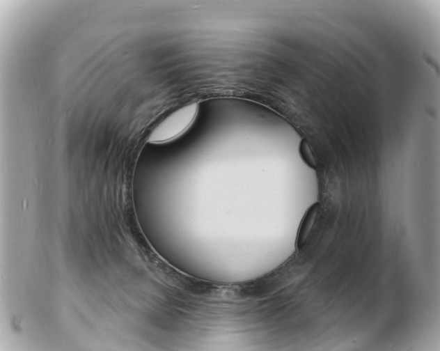 X0000103300080200808291140