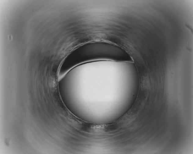X0000103300084200808291140