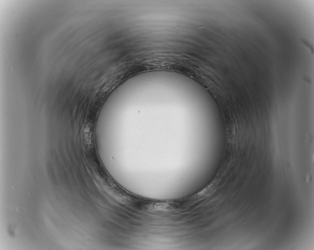 X0000103300086200808291140