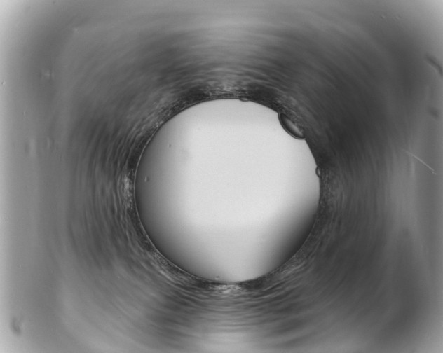 X0000103300087200808291140
