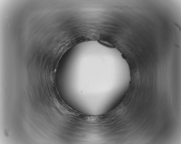 X0000103300088200808291140