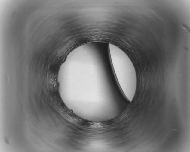 X0000103300091200808291140