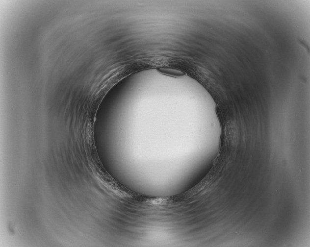X0000103300092200808291140