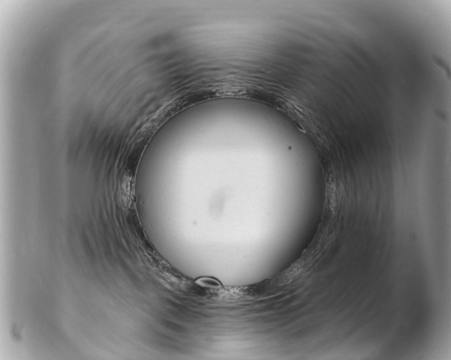 X0000103300093200808291140