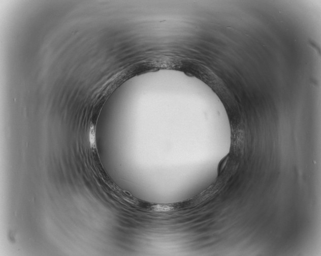 X0000103300095200808291140