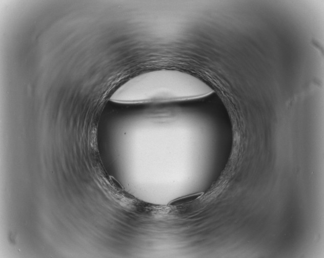 X0000103300096200808291140