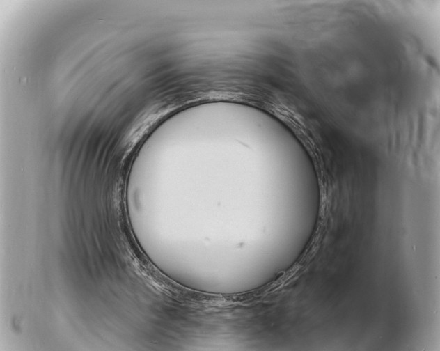 X0000103300098200808291139