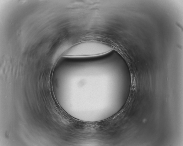 X0000103300099200808291139
