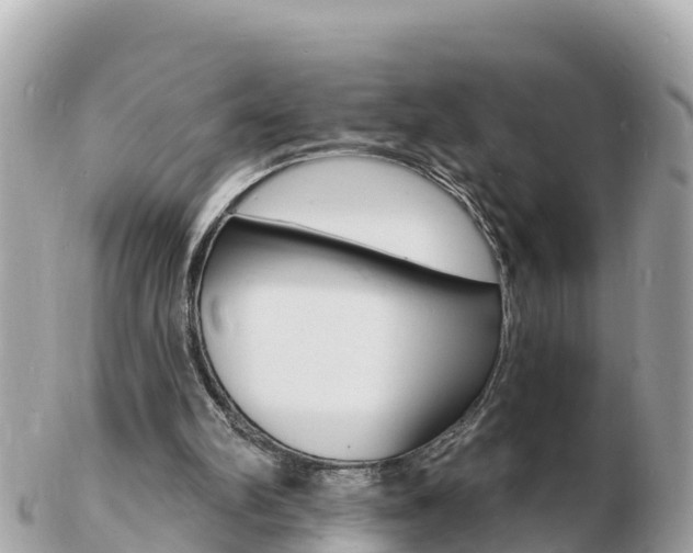 X0000103300102200808291139