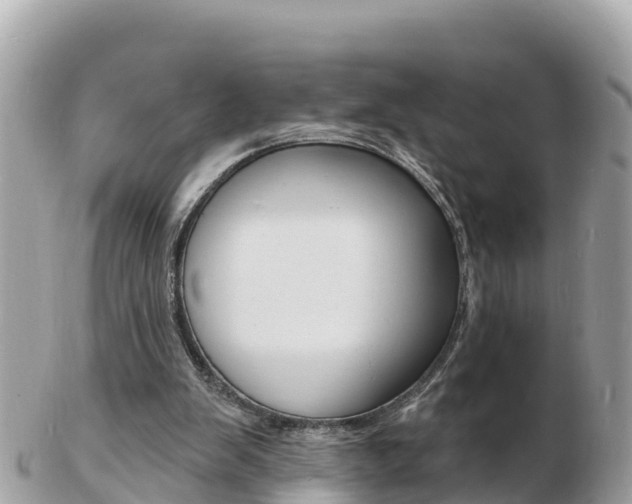 X0000103300103200808291139