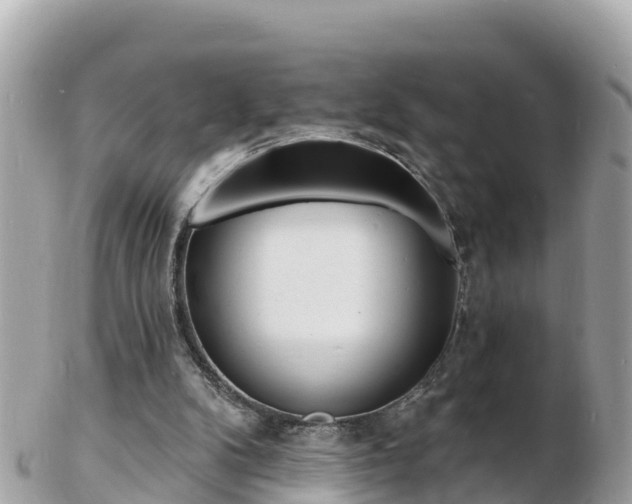 X0000103300104200808291139