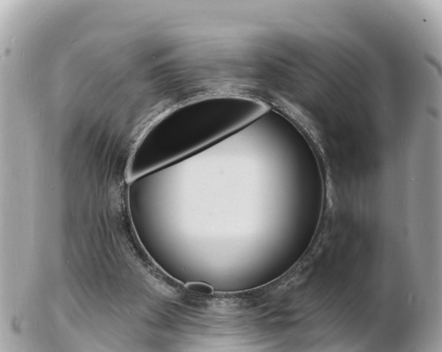 X0000103300105200808291139