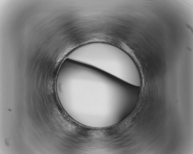 X0000103300106200808291139