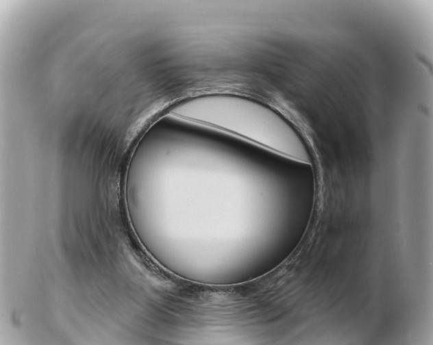 X0000103300107200808291139