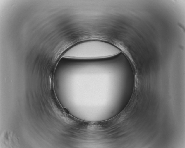 X0000103300109200808291139