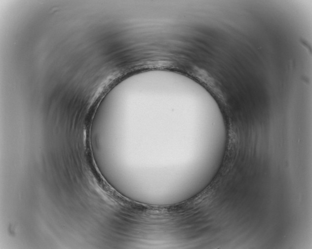 X0000103300110200808291139