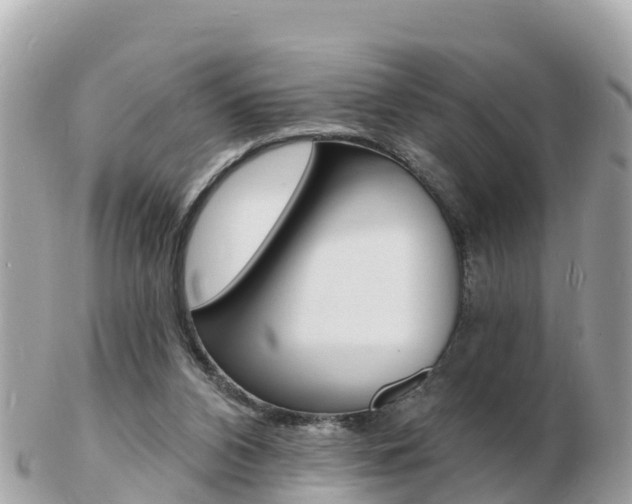 X0000103300112200808291139