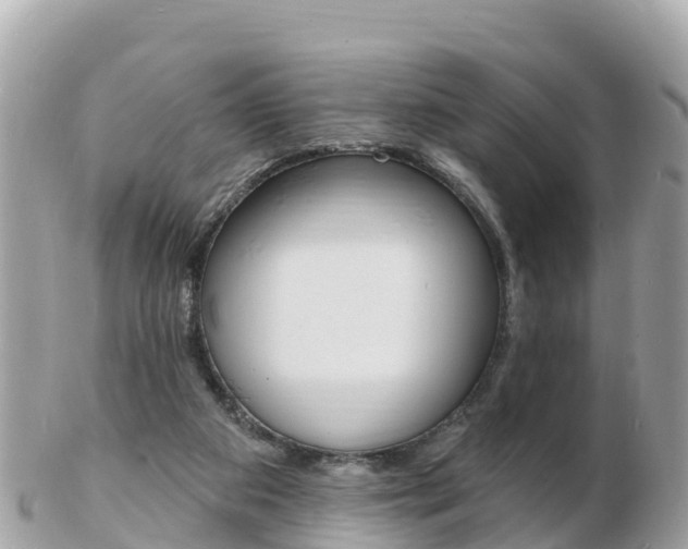 X0000103300113200808291139