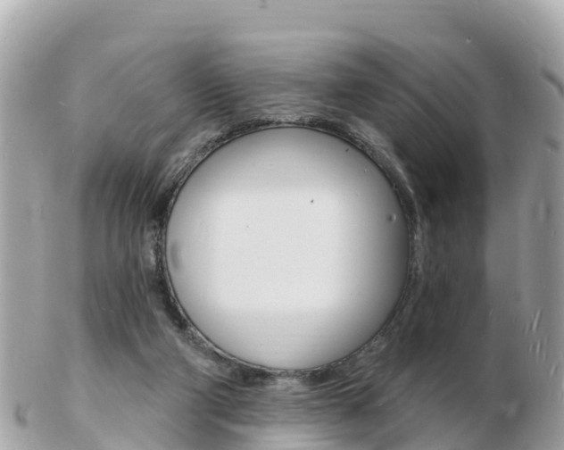 X0000103300114200808291139