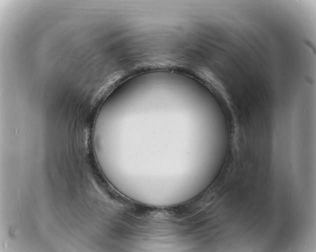 X0000103300115200808291139
