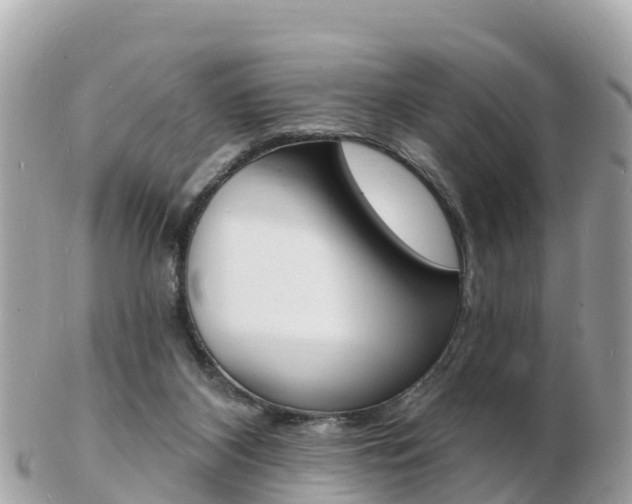 X0000103300116200808291139