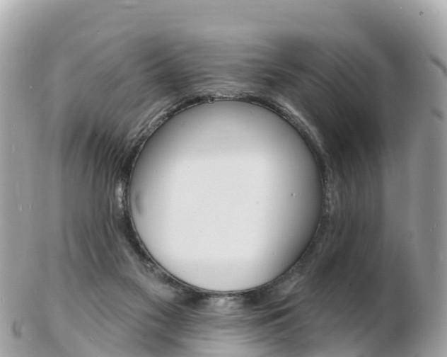 X0000103300117200808291139