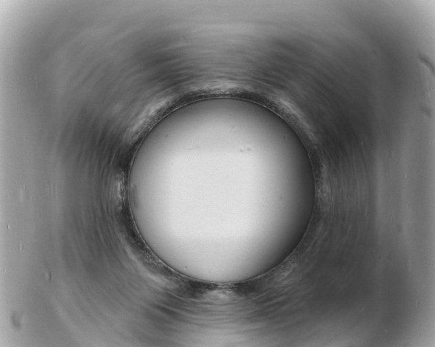 X0000103300119200808291139
