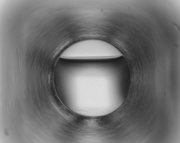 X0000103300120200808291139