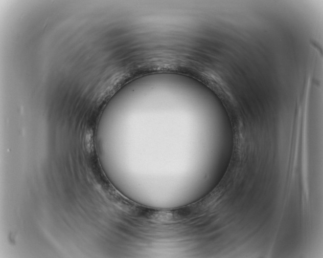 X0000103300123200808291139