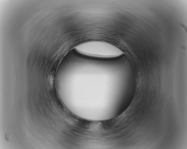 X0000103300124200808291139