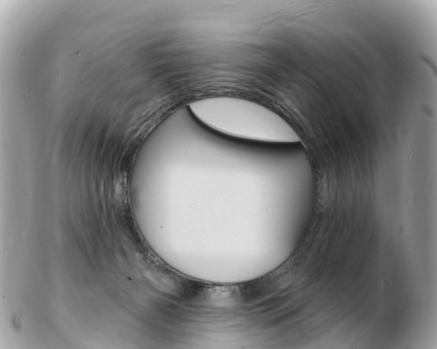 X0000103300126200808291139