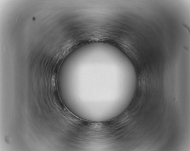 X0000103300127200808291139
