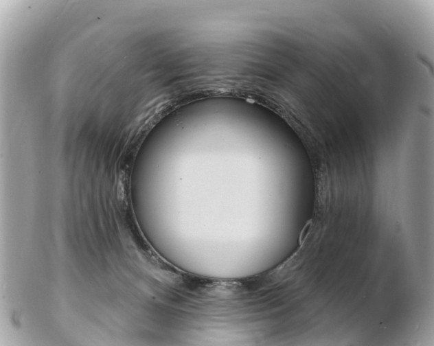 X0000103300128200808291139