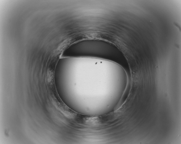X0000103300132200808291139