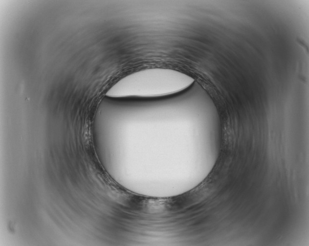 X0000103300134200808291139
