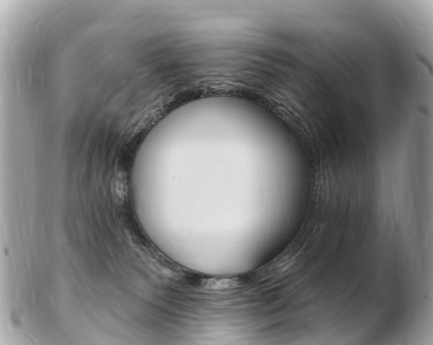 X0000103300135200808291139