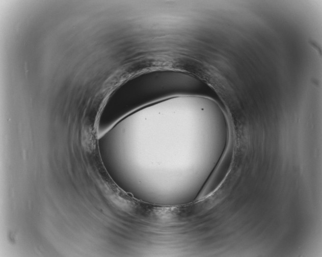 X0000103300136200808291139