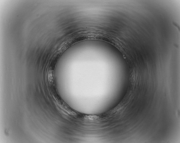 X0000103300137200808291139